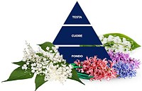 felze azzurra pavimenti primavera mini